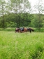 image003